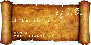 Ékes Béla névjegykártya